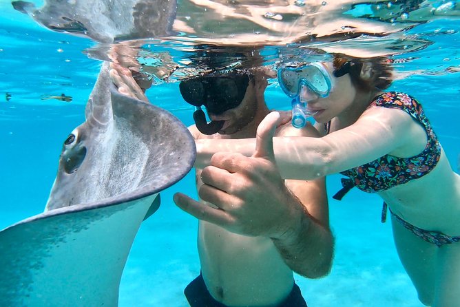 PRIVATE Full Day Tour : Moorea Snorkeling & Sailing on a Catamaran named Taboo - Price and value: what $1,565.99 per group really buys you