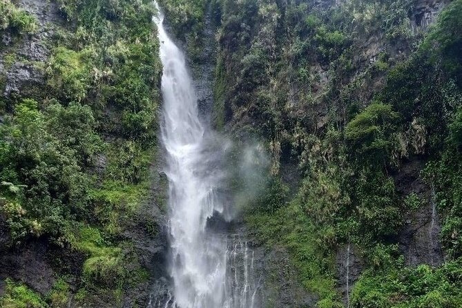 Private Full Day Tour of Tahiti - Stop 4: Vaipahi Water Gardens, plant species and shaded walking time