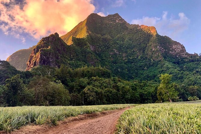 Private Half-Day Hike in the Opunohu Valley in Moorea - Why an Opunohu Valley hike is a Moorea experience, not just exercise