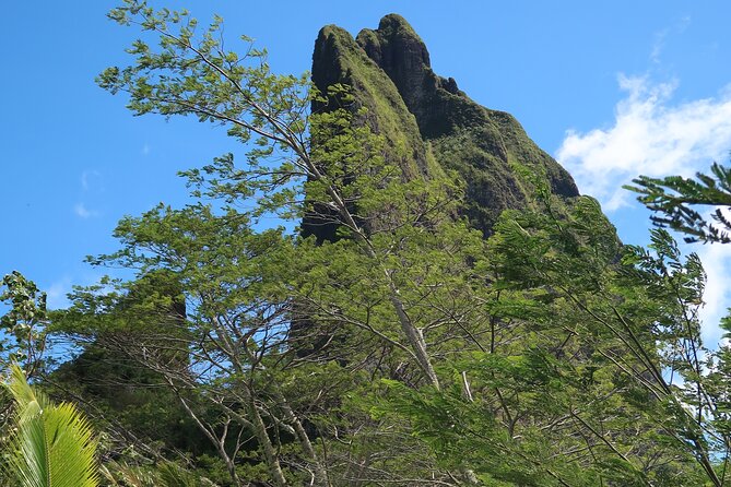 Private Half-Day Hike in the Opunohu Valley in Moorea - Climbing toward Col des 3 cocotiers and 3 pinus