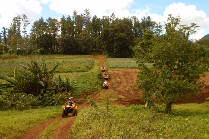 Private Half-Day Hike in the Opunohu Valley in Moorea - Pineapple fields and archaeological trails: why the route is more interesting than it sounds
