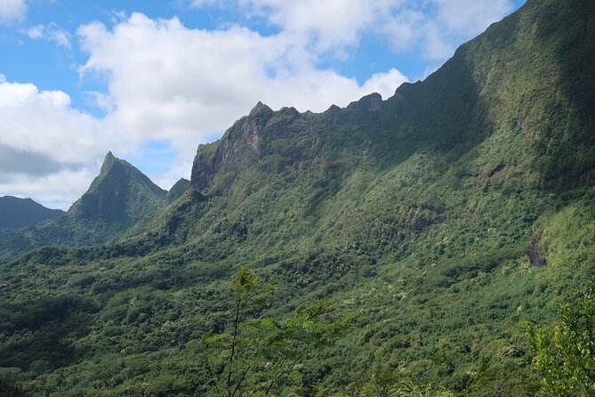 Private Half-Day Hike in the Opunohu Valley in Moorea - What to bring, and what the effort likely feels like