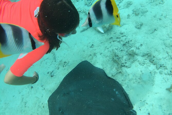 PRIVATE HALF DAY LAGOON TOUR - Bora Bora Cultural Lagoon Tour - Coral Gardens And Tropical Fish: The Snorkel Moment That Doesn’t Feel Like A Ticket Line