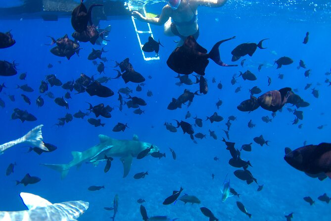 PRIVATE HALF DAY LAGOON TOUR - Bora Bora Cultural Lagoon Tour - Pickup, Mobile Tickets, And A Smooth Start Around Bora Bora