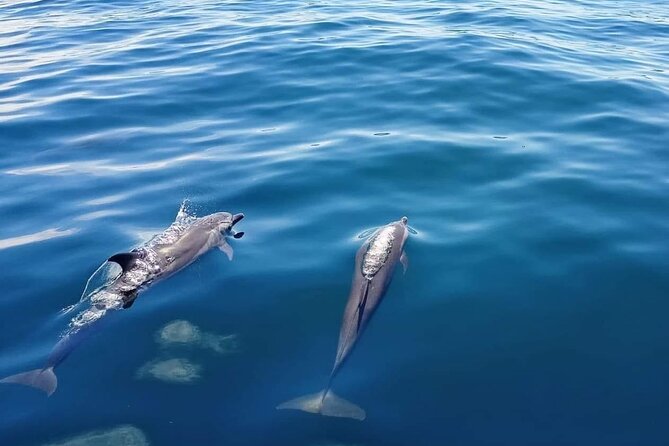 Private Half Day Sailing Excursion on the Lagoon of Tahiti - Stop 2: shallow-water hang time with local fruit and punch
