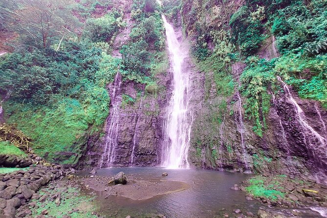 Private Half Day Tour: Papeete and Nature of Tahiti east coast - A half-day Tahiti plan that actually fits your schedule