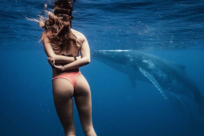 Private Half Day Whale Watching Tour - A 6-Person Private Whale Boat for Calmer, Better Viewing