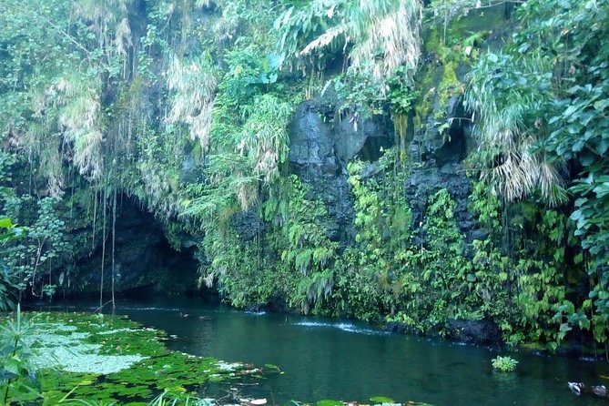 Private Island Tour ( 5 HOURS) - Guides make or break the day: Antoinette, Vetea, Sylvie, Fabrice
