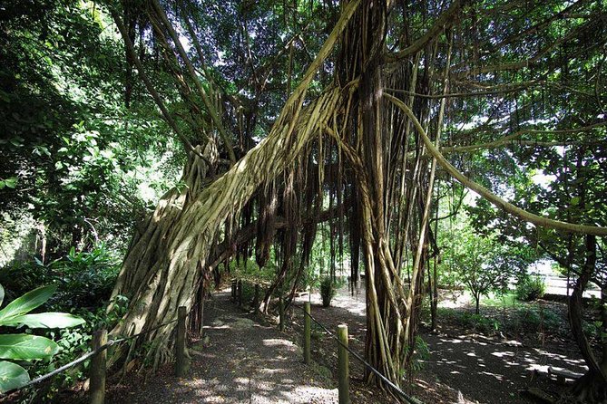 Private Island Tour ( 5 HOURS) - Rain, pace, and who should book this tour