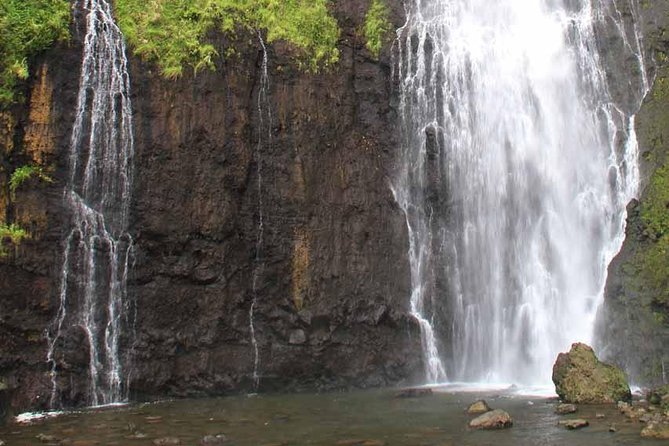 Private Island Tour ( 5 HOURS) - Should you book this private Tahiti island tour?