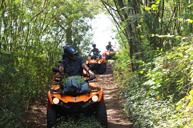 Private Island Tour by ATV / QUAD - Who should consider skipping this one