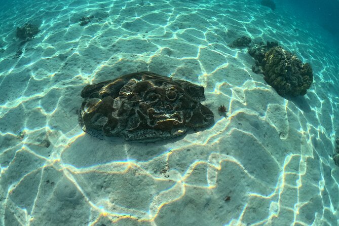 Private Lagoon Exploration and Snorkeling in Moorea - Stop-by-stop itinerary: what each part is really for