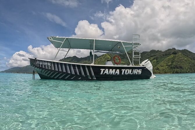 Private Lagoon Exploration and Snorkeling in Moorea - What the tour includes, and what it does not