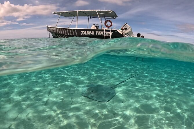 Private Lagoon Exploration and Snorkeling in Moorea - Wildlife respect: the part you can feel even before you get wet