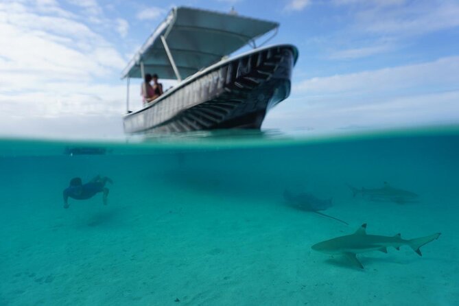 Private Lagoon Exploration and Snorkeling in Moorea - Getting started with pickup at Cocobeach (and why it matters)