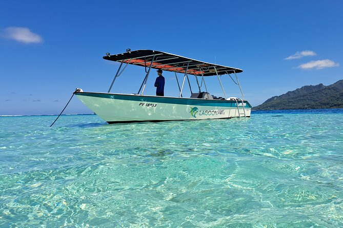 Private Marine Excursion and snorkeling in the lagoon of Moorea - Key highlights worth planning for