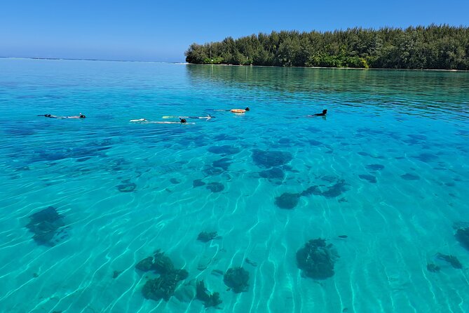 Private Marine Excursion and snorkeling in the lagoon of Moorea - Why a private Moorea lagoon boat feels different than big-group snorkels