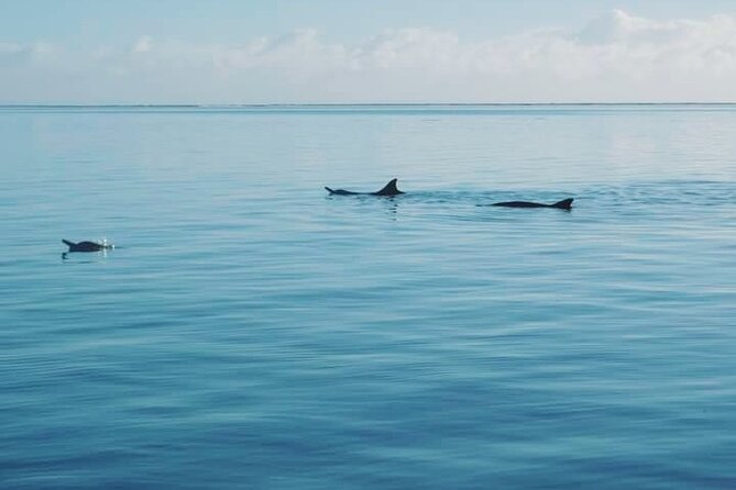 Private Marine Excursion and snorkeling in the lagoon of Moorea - Lagoon Vibes guide style: safety plus real enthusiasm
