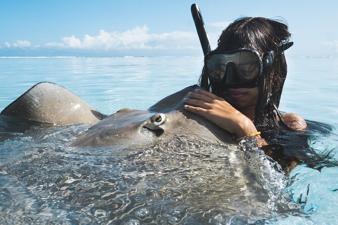 Private Marine Wildlife Adventure with Underwater Photography - A 3-hour private snorkeling charter built around underwater photos