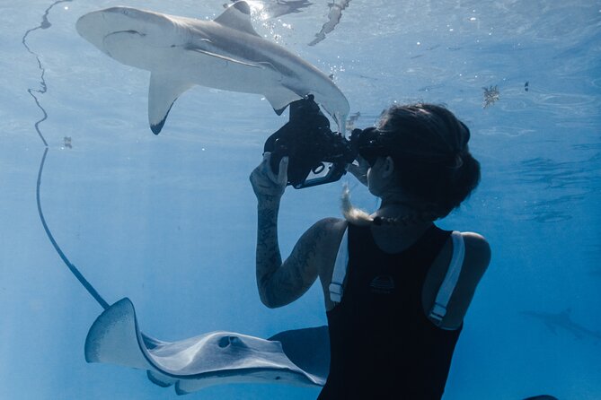 Private Marine Wildlife Adventure with Underwater Photography - What’s included, what’s missing, and how to pack smart