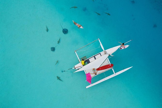 Private Moorea Discovery Half-day Sailing - Key things to know before you go
