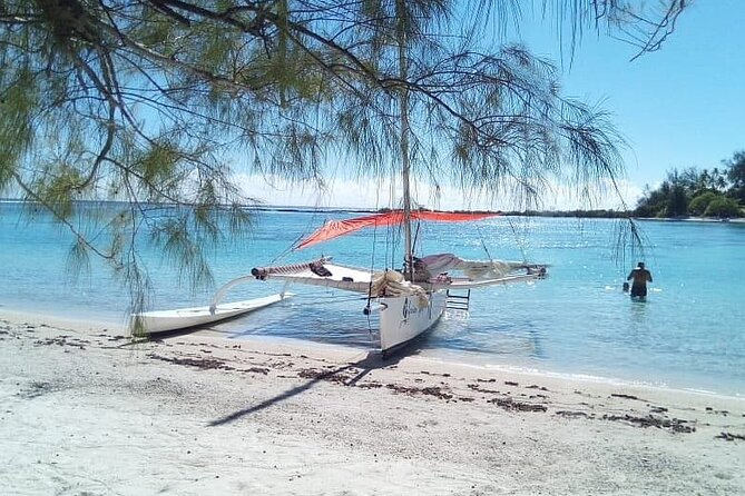 Private Moorea Discovery Half-day Sailing - Who should book this sail, and who might not love it