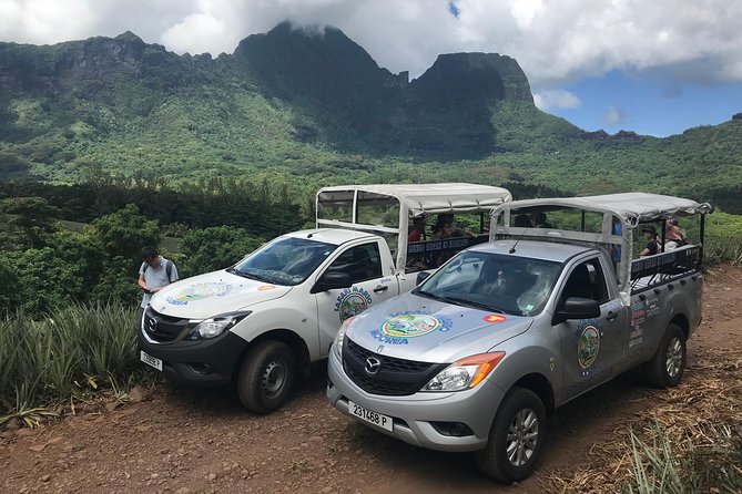 Private Morning Moorea 4WD Tour with Champagne - Price and value for up to 8 people