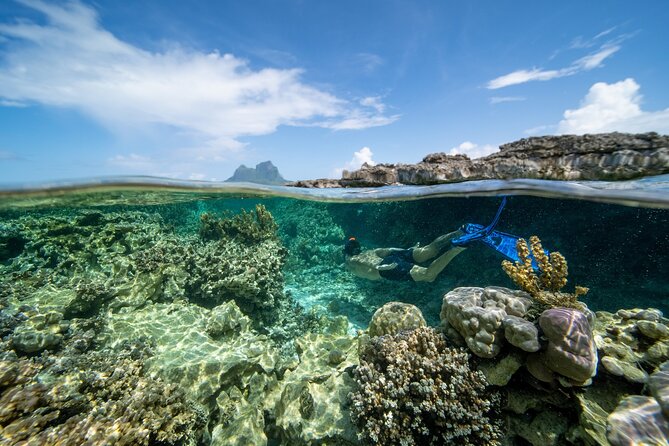 Private Reef Discovery Luxury Dream Day Tour in Bora Bora - The midday return to your hotel, then sunset cruise