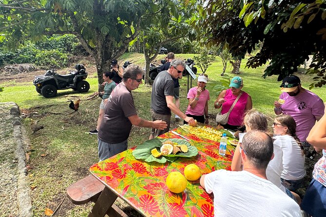 Private Safari Adventure Tour in Bora Bora with Local Guide - Drinks and comfort: what’s included, and how to plan around it