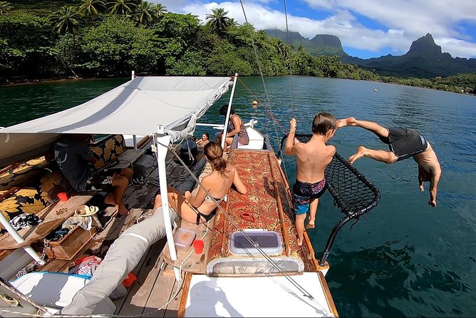 Private sailing adventure - Fish lines, turtles, dolphins, and whales: wildlife time without the chaos