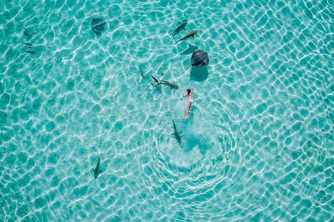 PRIVATE Sunset Tour: Moorea Snorkeling on a Catamaran named Taboo - Price and Value: Is $848.24 Worth It?