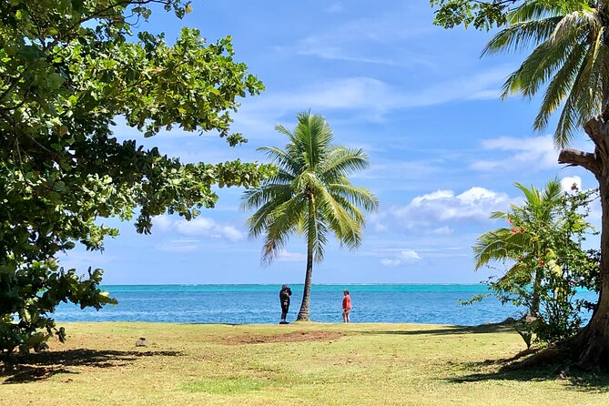 Private TAHITI Half Day Circle Island Tour (Departs 8am or 1pm) - Comfort, pacing, and what to pack for a fast circuit