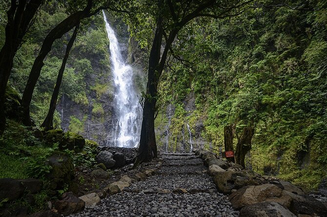 Private : Tahiti Museum & Circle Island Tour, Afternoon Tour (5h) - Stop 6: Faarumai Waterfalls, one easy win and two longer options