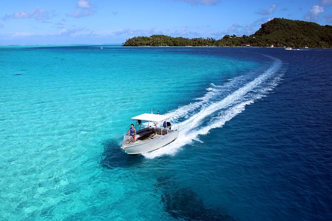 Private Tour: Aqua Safari Scuba Diving - What You See: Coral Garden Walk, Reef Life, and Possible Encounters