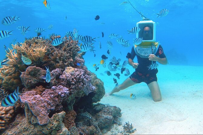 Private Tour: Aqua Safari Scuba Diving - Price and Value: Private for Up to Two at $765.22