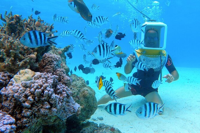 Private Tour: Aqua Safari Scuba Diving - What to Bring, and What You Can Skip
