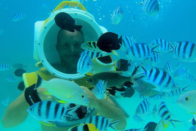Private Tour: Aqua Safari Scuba Diving - Transfers, Boats, and How Private Feels in Real Life