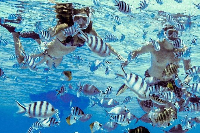 Private Tour: Bora Bora Lagoon Eco Snorkel Cruise - 3hrs or 6hrs - What This Private Bora Bora Lagoon Cruise Feels Like