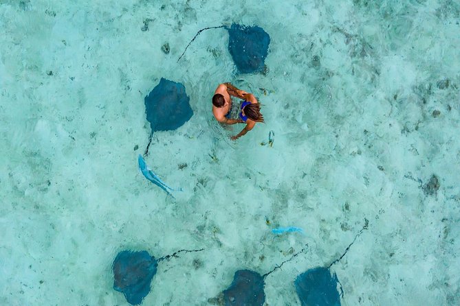 Private Tour: Bora Bora Lagoon Eco Snorkel Cruise - 3hrs or 6hrs - Snorkel Stop Expectations: What “Not Guaranteed” Still Means