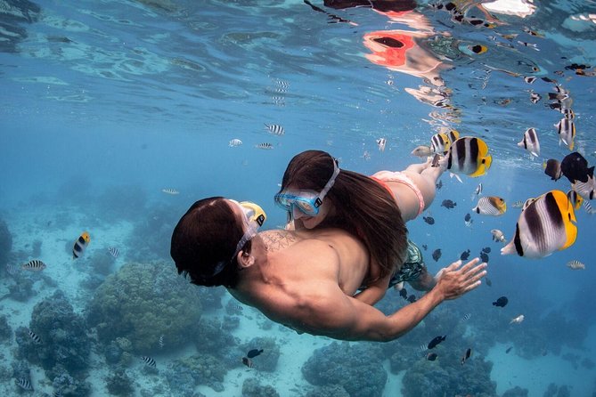 Private Tour: Bora Bora Lagoon Eco Snorkel Cruise - 3hrs or 6hrs - Gear Included, Comfort Included, Too