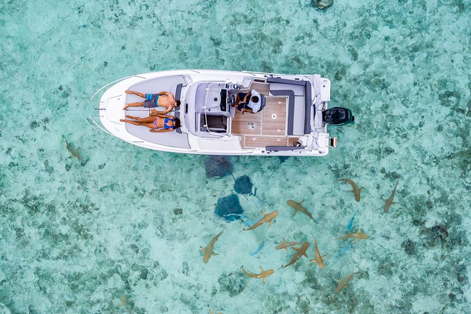 Private Tour: Bora Bora Lagoon Eco Snorkel Cruise - 3hrs or 6hrs - Entering the Eco Rules: Reef Respect That Actually Changes Your Day