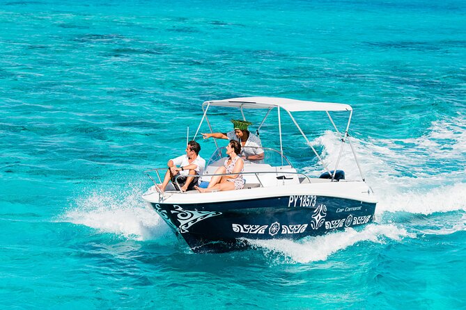 Private Tour: Bora Bora Whale Watching & Swimming Experience - From pickup to the ocean: how your time gets used