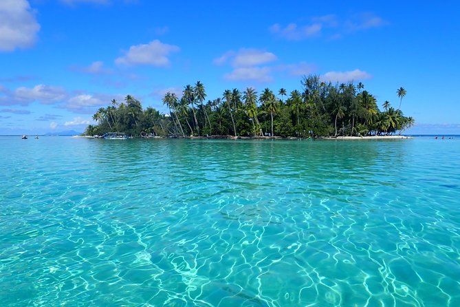 Private tour from Raiatea - 1/2 day excursion to Tahaa or other - Key highlights worth knowing