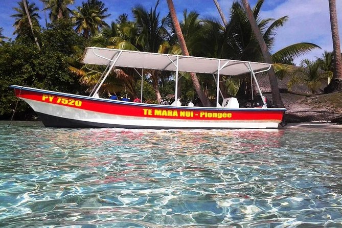 Private tour from Raiatea - 1/2 day excursion to Tahaa or other - Distillery, pearl farm, or both: choosing the right stops