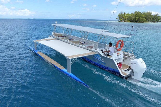 Private tour from Raiatea - 1/2 day excursion to Tahaa or other - Price and Logistics: what $710.28 means for your group