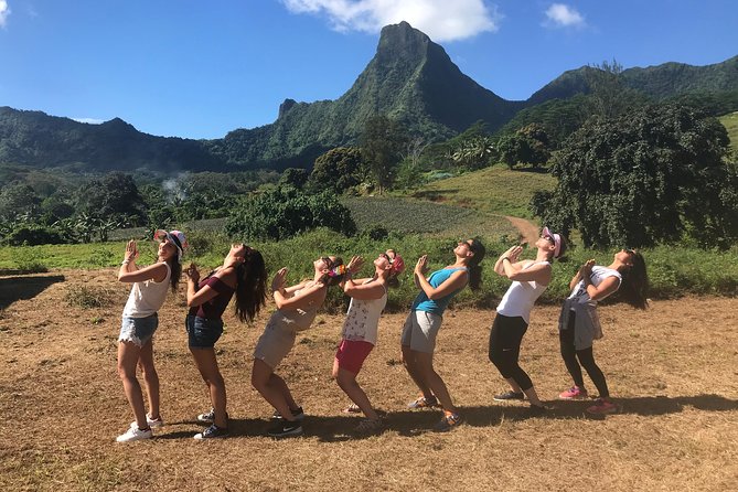 Private Tour Moorea 4WD - Belvedere Pineapple Farm, Magic Mount. - Magic Mountain Overlook: Geology and History in Motion