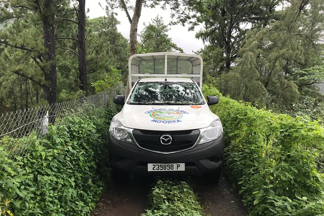 Private Tour Moorea 4WD - Belvedere Pineapple Farm, Magic Mount. - Price and Value for a Group Up to 8