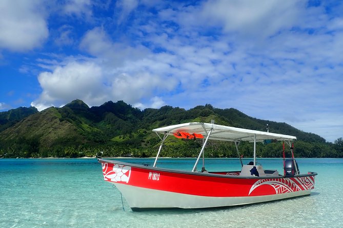 Private tour observing and swimming with humpback whales in Moorea - Should you book this private humpback whale swim and snorkel tour?