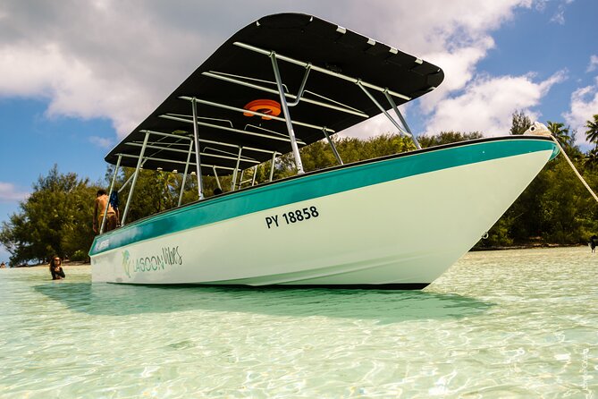 Private tour whale watching and snorkeling in Moorea - How to make the most of your 4 hours on the water