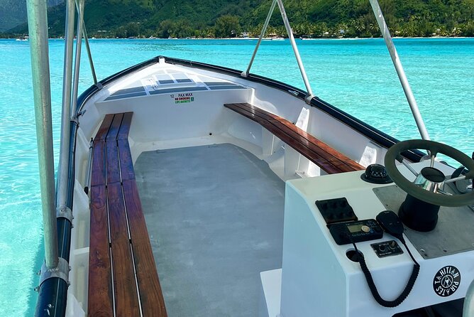 Private Whale Watching Adventure in Mo'orea - The guide and captain team: what to look for